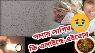 নোৱাৰি আৰু এইবোৰৰ উৎপাতত 😭/// পটল মাছ খাই লওঁ অলপ 🤭