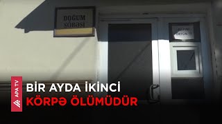 Zaqatalada daha bir yeni doğulan körpə ölümü qeydə alınıb – APA TV