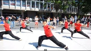 Harvard Wushu Demo