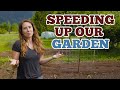 How we're SPEEDING UP our Growing Season! | Gardening Tasks in June