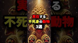 実在する不死身の動物3選　#都市伝説