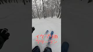 イケブリのツリーランコース🌲が楽しすぎる #スキー場 #池の平温泉 #アルペンブリック #スキー #スノーボード #snowboard #ski #妙高市