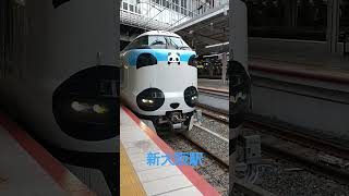 【新大阪駅・くろしお1号和歌山方面新宮行】パンダ🐼くろしお