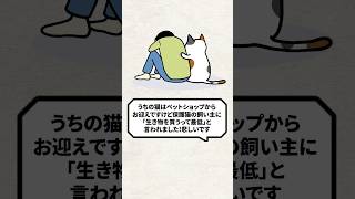 Q：保護猫の飼い主マウントが悲しいです、生き物を買うのは最低？ #猫 #保護猫 #ねこ