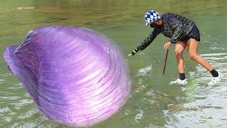 😲🔮Girl's Stunning Discovery of Giant, Treasure-Filled Mussel Creates a Sensation by the River