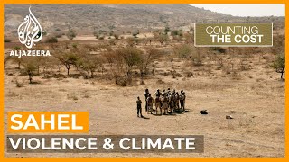 How climate change is leading to a rise in violence in the Sahel | Counting the Cost