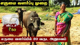 20 ஆண்டுகலா  எருமை வளர்க்கும் பெண் | அதிகம் பால் தரும் எருமை வளர்ப்பு | Buffalo Farm