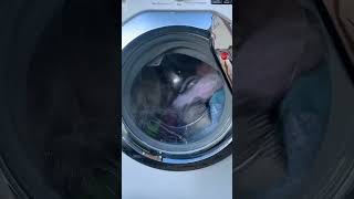 Hoover All In One Washer Dryer - Quick Test On Rapid!