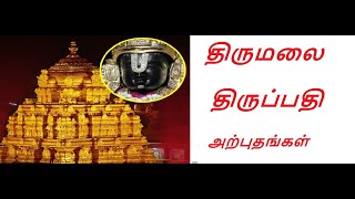 திருமலை திருப்பதி அற்புதங்கள் - Tirumala Tirupati