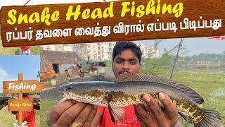 How to Catch Snakehead Fishing in Tamil  ரப்பர் தவளை வைத்து விரால் எப்படி பிடிப்பது -  Fishing Tips