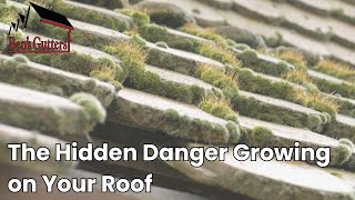Ben's Gutters | The Hidden Danger Growing on Your Roof
