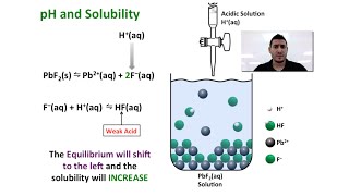Solubility Equilibria | Common Ion Effect.
