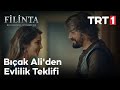 Filinta 27. Bölüm - Bıçak Ali'den Evlilik Teklifi