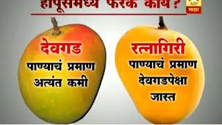 Difference between Devgad and Ratnagiri Alphanso Mangoes