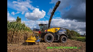 New Holland FR 920 + New Holland FR 780 + New Holland FR 700 - LW  Vanoppen (Sint-Lambrechts-Herk)