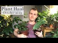 Houseplant Haul | October 2019