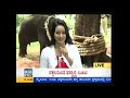 tvn murthy speaking about elephant behavior