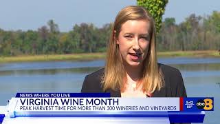 How to celebrate Virginia Wine Month this October