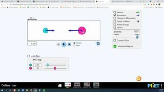 Phet Simulation: Collision Lab