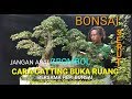 Tehnik cara cutting ranting buka ruang dimensi pada bonsai