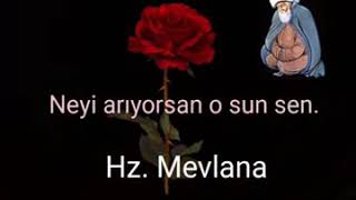 Neyi Arıyorsan O Sun Sen..! HZ.Mevalanın En Değerli Sözleri..!