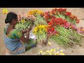 పాలిహౌజ్ లో జెర్బరా పూల సాగు gerbera flower farming in polyhouse shiva agri clinic