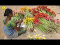 పాలిహౌజ్ లో జెర్బరా పూల సాగు gerbera flower farming in polyhouse shiva agri clinic