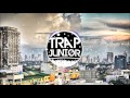 Twenty One Pilots - Ride (Half Blood Remix)