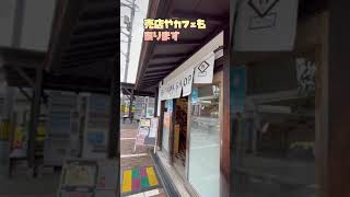 貴志駅のニタマ卿　㊗️ニタマ駅長がニタマ卿に昇進‼🚃🐱#shorts