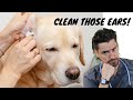 Walmart Medicated Dog Ear Cleaner