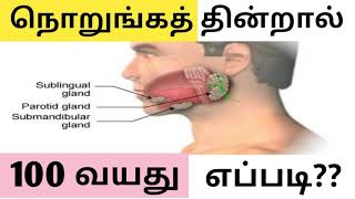 Why Chewing Is Important? Science | நொறுங்கத் தின்றால் 100 வயது இதுதான்.