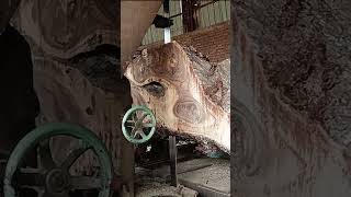 Kayu trembesi tua peninggalan sejarah kolonia II Sawmill #american #gergajisawmill #kayutrembesi