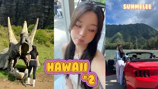 퇴사하고 떠난 하와이 여행 2 #하와이 #여행 #travel #hawaii #vlog #퇴사 #kualoaranch