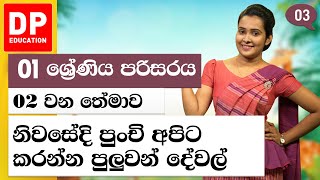 නිවසේදි පුංචි අපිට කරන්න පුලුවන් දේවල් | 02 වන තේමාව - අපේ ගෙදර | 01 ශ්‍රේණිය පරිසරය