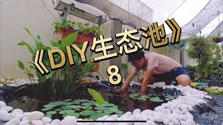 《DIY生态池8》更新下鱼池，决定把水生植物换盘才能。