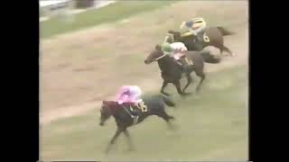 第２９回　京阪杯 （ＧⅢ）　カツラギエース　牡４　58.5　西浦勝一　1984.5.13　　出走馬：サニーシプレー、グローバルダイナ、ボールドナムラ、リュウボーイ、シーハスラー、サイクルヒッター他