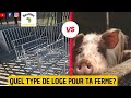 ELEVAGE DE PORC: Loges en fer ou en brique cimenté? Ce professionnel nous explique tout.