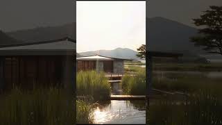 순천만의 자연과 조화를 이룬 스테이/ Architecture in Harmony with Suncheon Bay's Nature #서울 #한국 #순천만 #korea #seoul