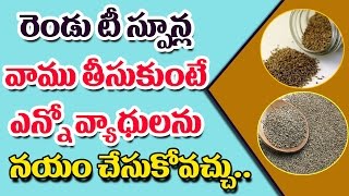 రెండు టీ స్పూన్ల వాము తీసుకుంటే ఎన్నో వ్యాధులను నయం చేసుకోవచ్చు.. || Health Benefits of Ajwain