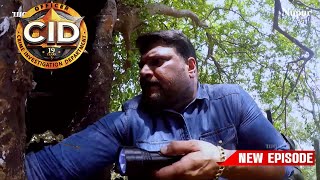 CID को मिला 200 साल पुराने पेड़ के अंदर लड़की का कंकाल  | Best Of CID | सी.आई.डी | CID | Full Ep-1482