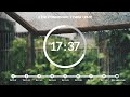 25 minute pomodoro timer ☔️rain sound 비 asmr 📚 4 hour study ⏱pomodoro 25 5 25 min x 8 sets