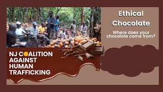 Ethical Chocolate: Do You Know Where Your Chocolate Comes From?