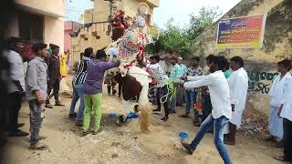 #Nellore#shakeer#horse dance#7095786921