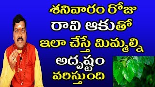 శనివారం రోజు రావి ఆకుతో ఇలా చేస్తే మిమ్మల్ని అదృష్టం వరిస్తుంది | Machiraju Kiran Kumar