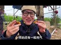 迈扣打卡高碑店清真菜馆，吃个大包子，两人吃了一大盆【迈扣来了chinese food tour】