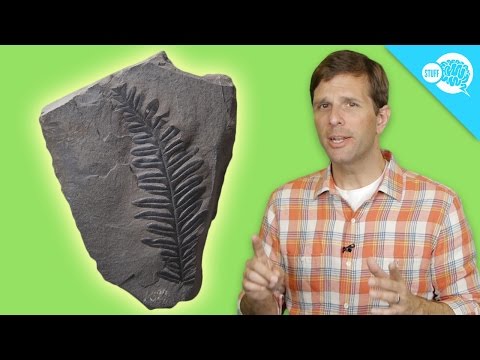 Why do scientists use carbon dating?