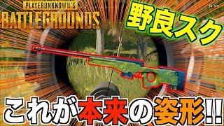 【PUBG】これが真の姿！！呪いの解けたAWMが最強過ぎたw part96