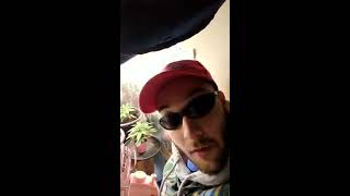 Tuesday tips: rasing humidity in your grow room