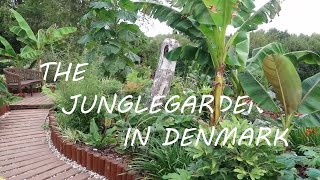 The Jungle Garden - Episode 1 | Garden tour (Zone 7)