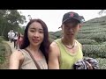 嘉義vlog 愛上嘉義了❤️ 文化路夜市雞肉飯砂鍋魚頭各種吃 嘉義梅山太平雲梯 東石鮮蚵吃到飽 民雄美美鳳梨田 根本玩不完啊